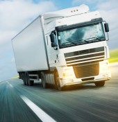 Etiam dictum egestas