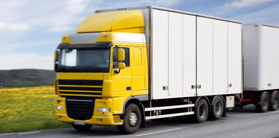 Lorem ipsum dolor sit